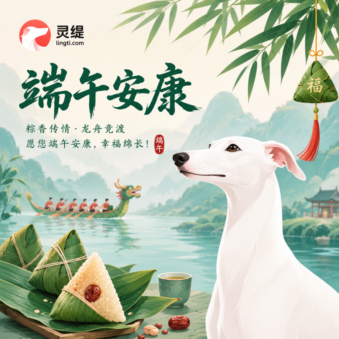 端午安康，幸福绵长，灵缇永远守护